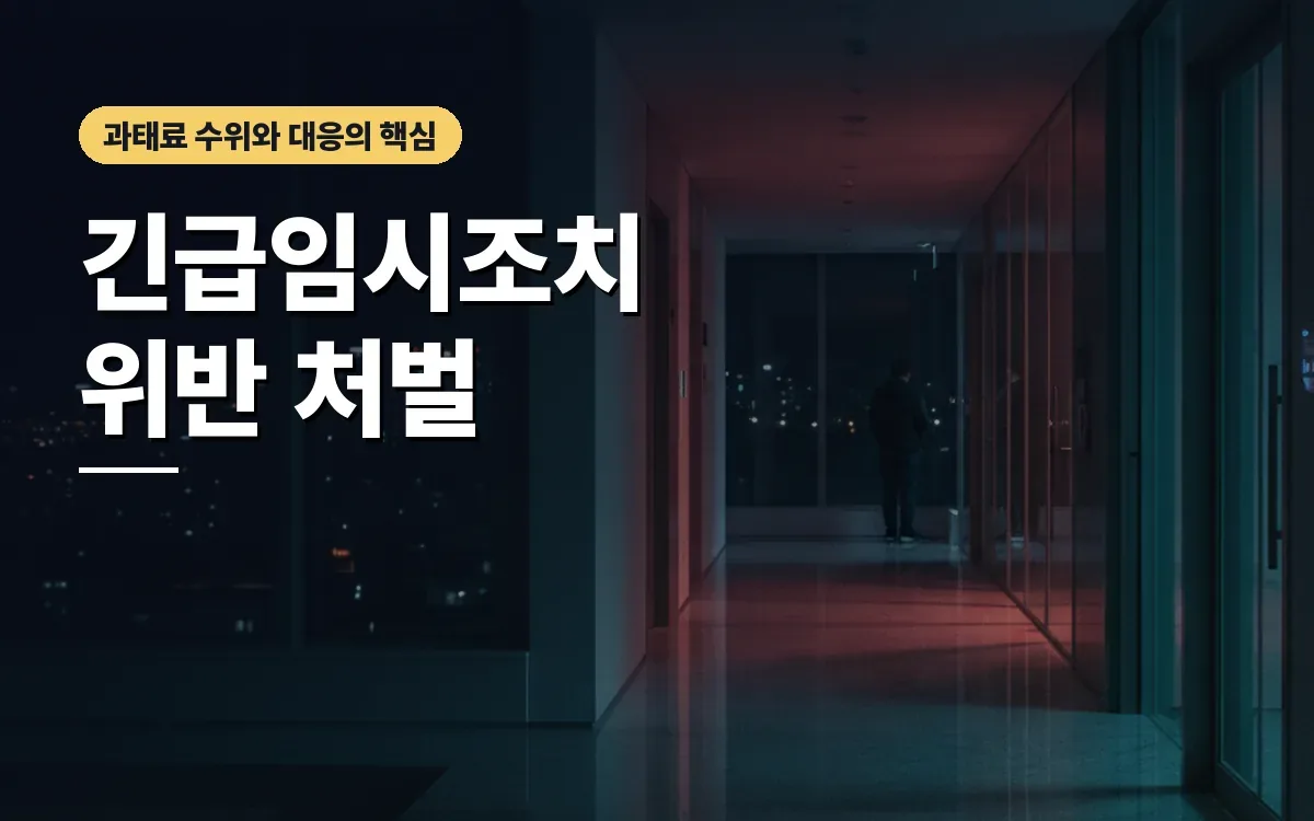가정폭력 긴급임시조치 위반 처벌 수위와 대응